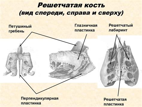 Самые потрясающие случаи с наростом подпяточной кости