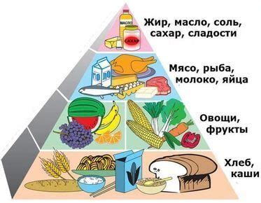 Сбалансированное потребление малины для поддержания здоровья сердца и кровеносной системы