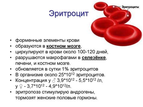 Связь между недостаточным уровнем гемоглобина и повышением температуры организма