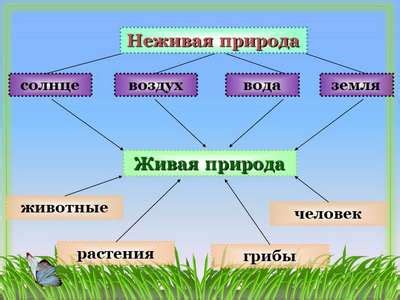 Связь между объектами и местоположением: роль предлогов