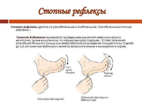 Сгибательные и разгибательные движения стопы