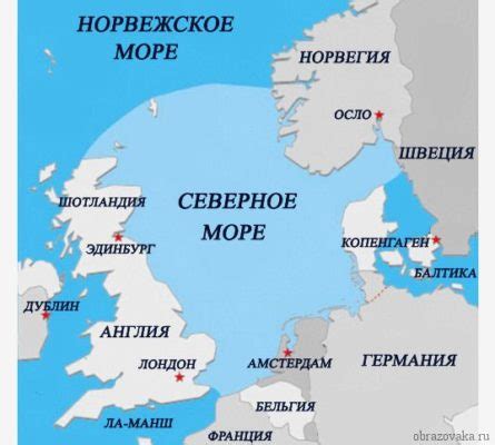 Северное море: основной ареал сосуществования скоморьицеобразных рыб