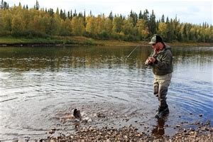 Северные водоемы: открытие пеледа на Кольском полуострове