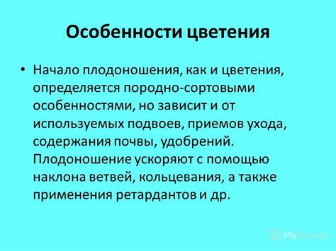 Сезонные особенности цветения и плодоношения лаврины