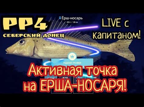 Сезоны и рыбалка: когда наступает оптимальное время для успешной поимки ерша на комарином Рр4