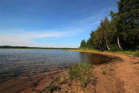 Сезон собирания плодов леса в окрестностях Петербурга