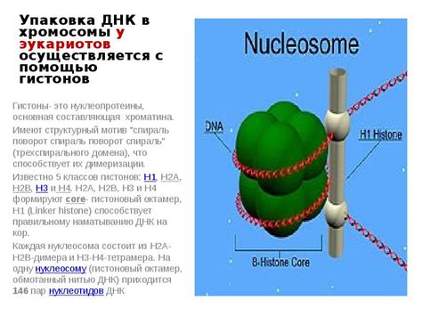 Секвенирование: расшифровка генетической информации