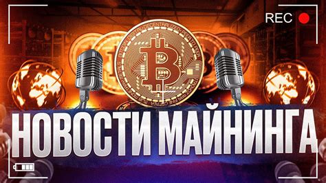 Секреты поиска биткоин медведей в мире майнинга