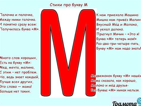 Секрет успеха в зеленой букве М: почему она стала столь востребованной и полезной