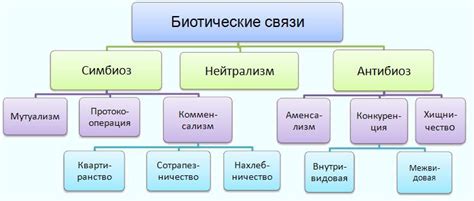 Симбиоз и кооперация: взаимодействие с организмами и их действия в природной среде