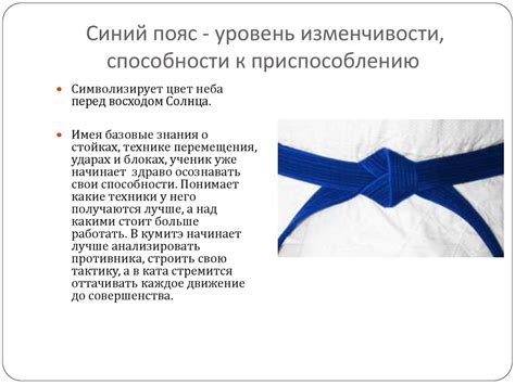 Символика и значение оттенков в каратэ: понимание глубинного смысла различных цветов 