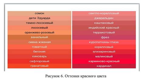 Символика щегола: что символизируют его оттенки и поза