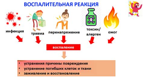 Симптомы воспалительных процессов в области рубца: основные признаки