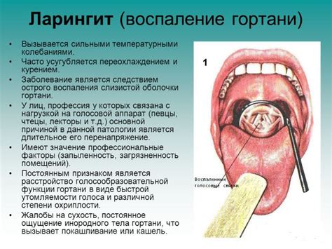 Симптомы и диагностика сокращенной связки у языка