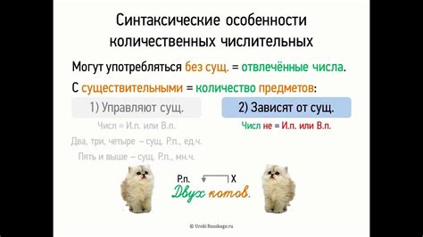 Синтаксические особенности существительных