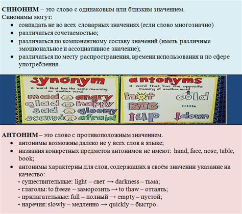 Система лексических единиц в языке