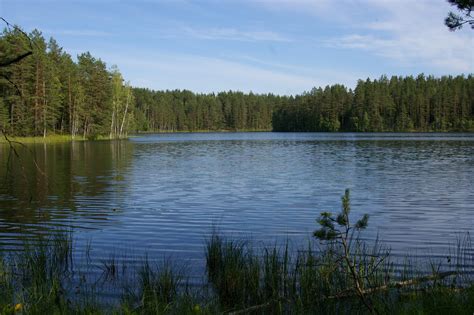 Сказочные леса и магические озера Карельского заповедника