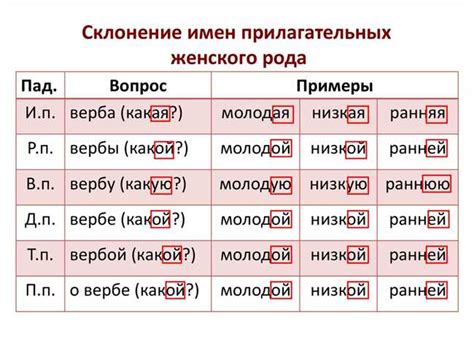 Склонение фамилии Подоляка в предложном падеже: итоги обсуждения