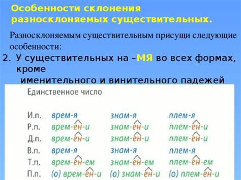 Слагаемые существительных: особенности формирования слов