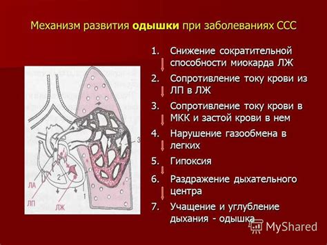 Снижение вероятности развития заболеваний кардиоваскулярной системы