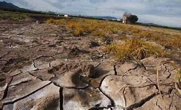 Снижение плодородности