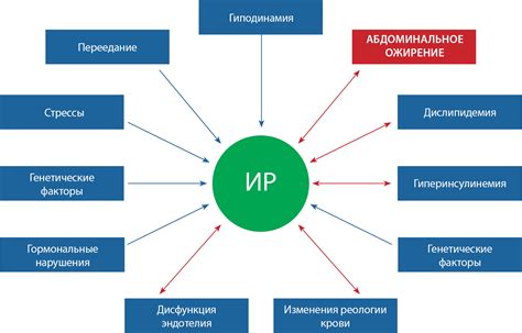 Снижение сопротивления организма к инсулину: практика и результаты