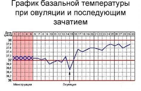 Снижение температуры организма после потери беременности: рекомендации и советы