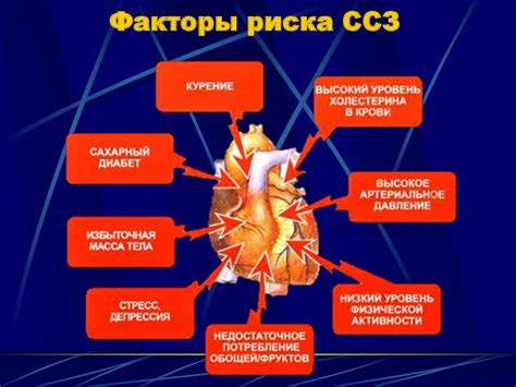 Снижение уровня холестерина и профилактика заболеваний сердечно-сосудистой системы