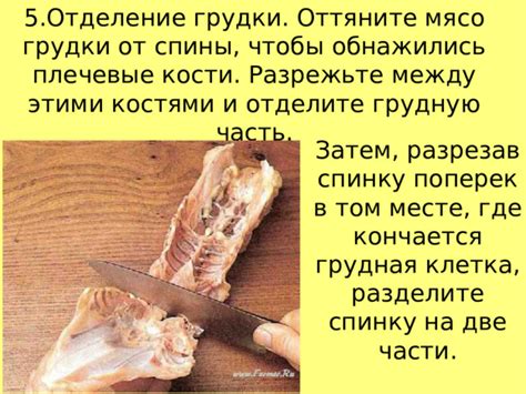 Собаке питательно и безопасно: смягчайте кости, сохранияя мясо с костями.