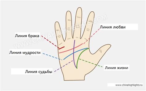 Советы для людей, у которых на ладони отсутствует обозначение линии жизни