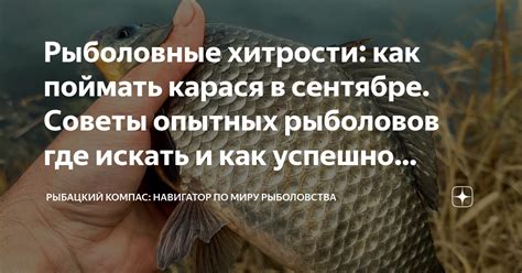 Советы опытных рыболовов по умелому уходу за хозяевами водоёма