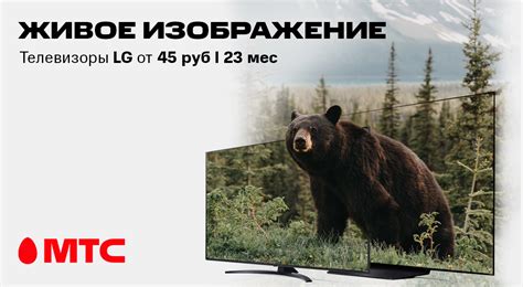 Совместимость телевизоров LG и ТВ МТС