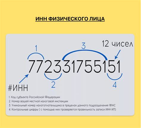 Содержание информации в ИНН: основные данные и их значения