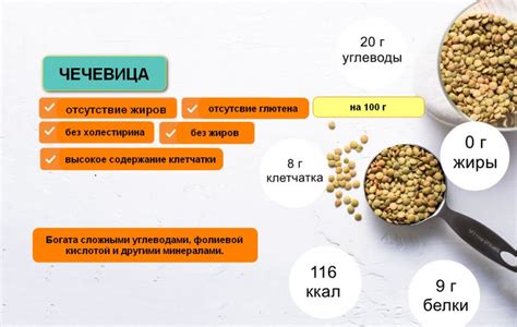 Сокровище красной чечевицы: благотворные свойства и богатый состав