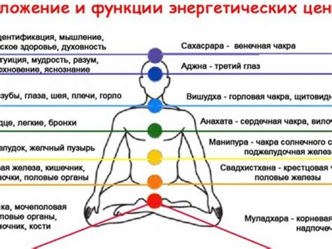 Солнечное сплетение: сущность и связь с образованием на коже