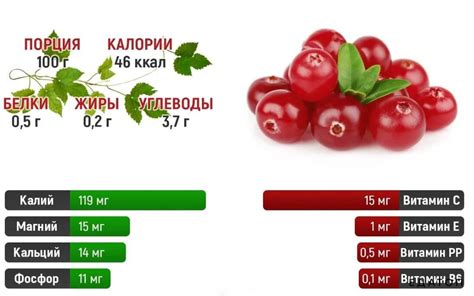 Сопоставление стоимости и условий передачи клюквы в различных пунктах Вологды