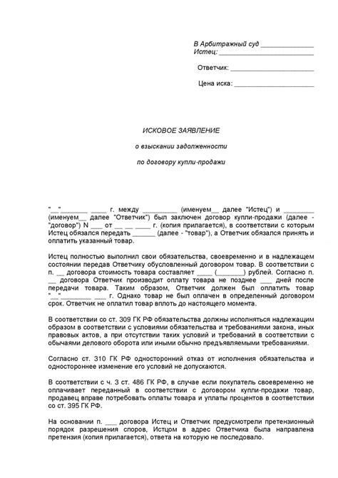 Сопровождение процесса обжалования решения о возвращении приставам задолженности