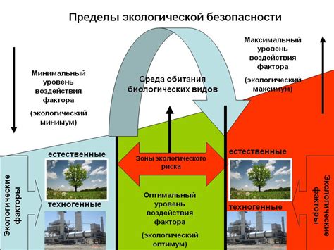 Соседи и окружающая среда: важные факторы для комфортного проживания Миланы Хаметовой