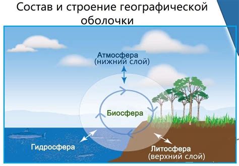 Состав и структура географической оболочки