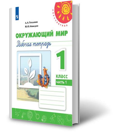 Состав рабочей тетради авторов Плешакова и Новицкой для учебного курса 4-го класса