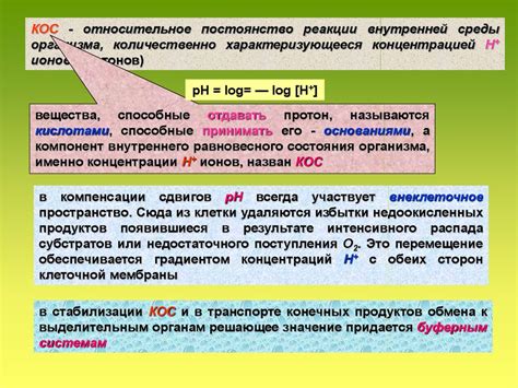 Состояние гидробаланса и контроль внутренней среды