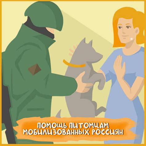 Сотрудничество с местными ветеринарными службами: помощь питомцам в регионах