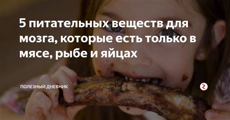 Сохранение питательных веществ в мясе: неразбавленное богатство для вашего борща!