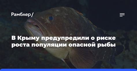 Сохранение популяции тягунов в Черном море: защитные меры и их роль