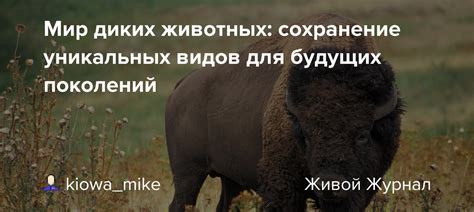 Сохранение уникальных сред и сбалансированных животных сообществ, в которых обитают величественные хищники