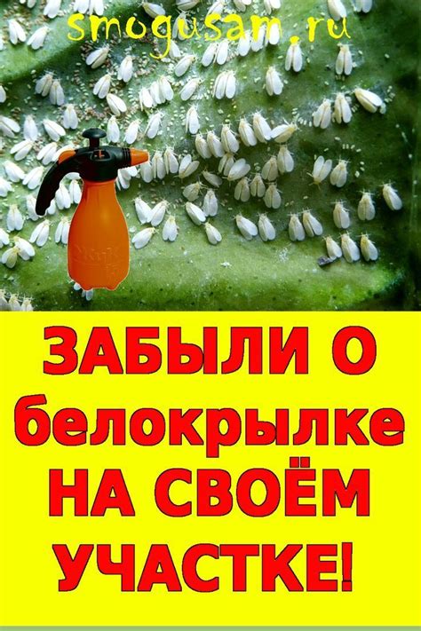 Сохраняя нежность и сочность рыбы: лучшие способы избавления от костей