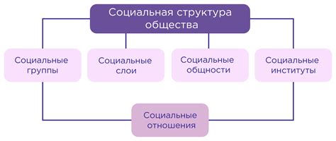 Социальная структура: понимание и особенности