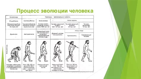 Социальные последствия сотрудничества в эволюции современного человека