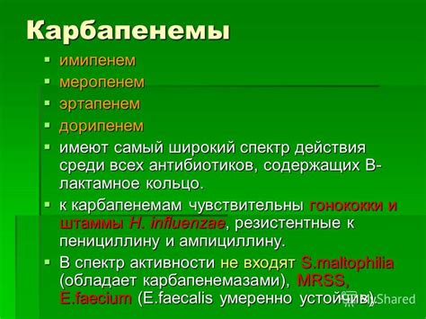 Спектр действия