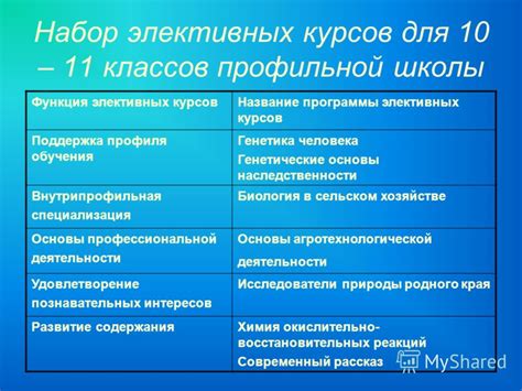 Специализация и уровень обучения: основы выбора школы визажа